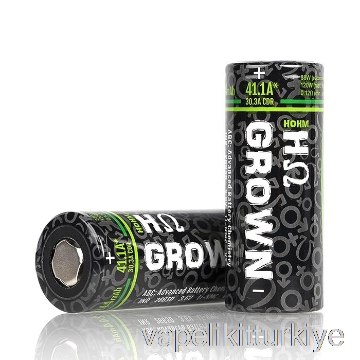 Elektronik Sigara Kalemi Vape Mate Hohm Tech Yetiştirilen 2 26650 4244mah 30.3a Pil Yetiştirildi2 - Tek Pil
