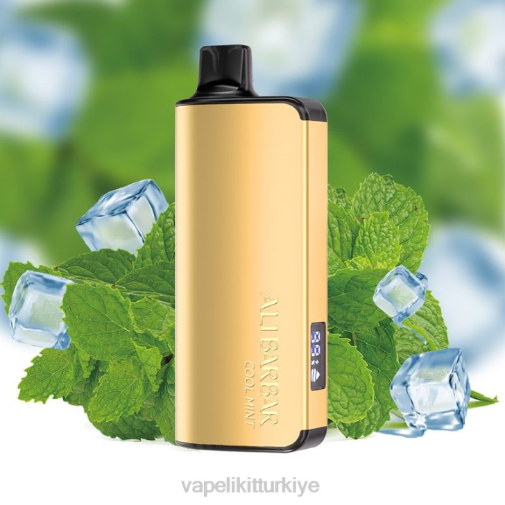 Vape Mate - Alibarbar Ingot 20000 tek kullanımlık vape serin nane PRP235