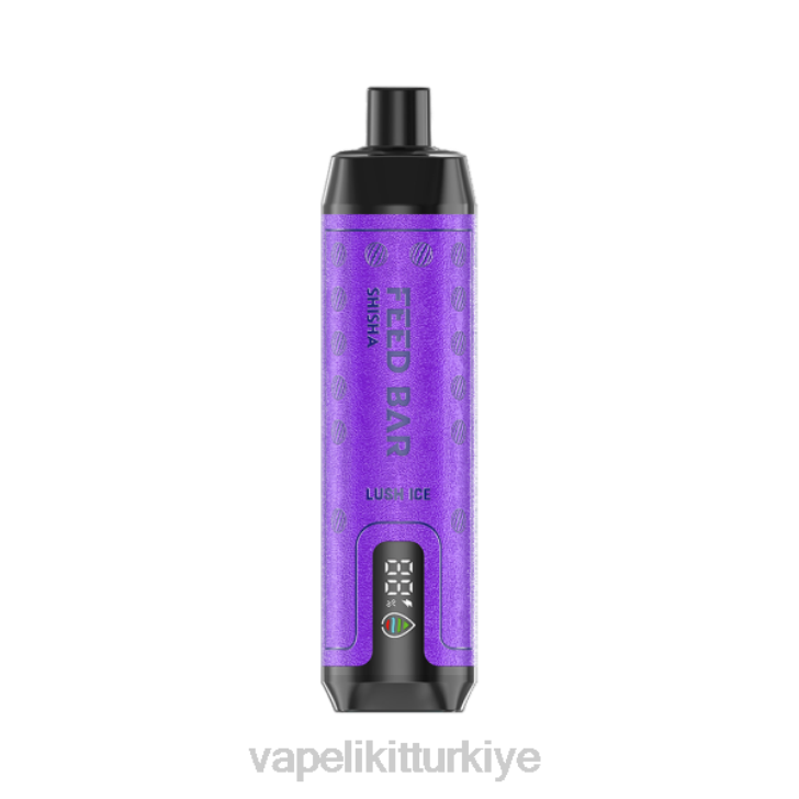 Vape Mate - Vapsolo SHISHA tek kullanımlık elektronik sigara yemyeşil buz PRP2120
