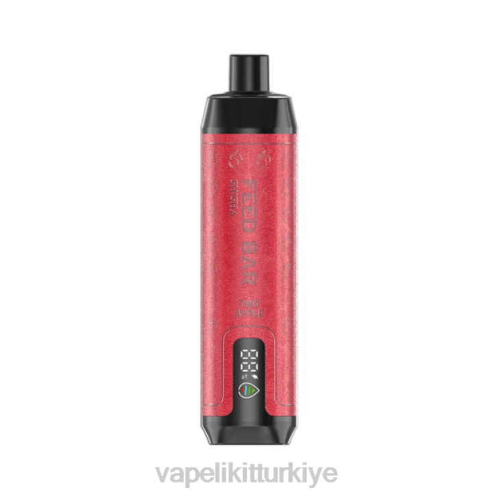 Vape Pen - Vapsolo SHISHA tek kullanımlık elektronik sigara iki elma PRP2124