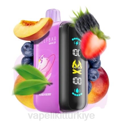 Vape Türkiye - Elf Bar Raya D3 25000 tek kullanımlık T0441