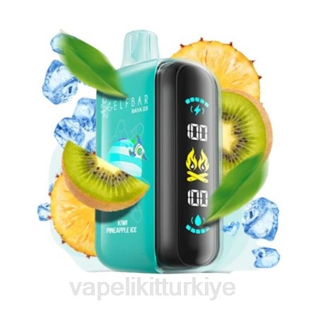 Vape Türkiye - Elf Bar Raya D3 25000 tek kullanımlık T0441