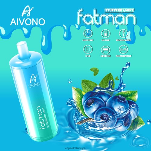 Vape Elektronik Sigara - Aivono FATMAN 6800 P040XH22 yaban mersini nane