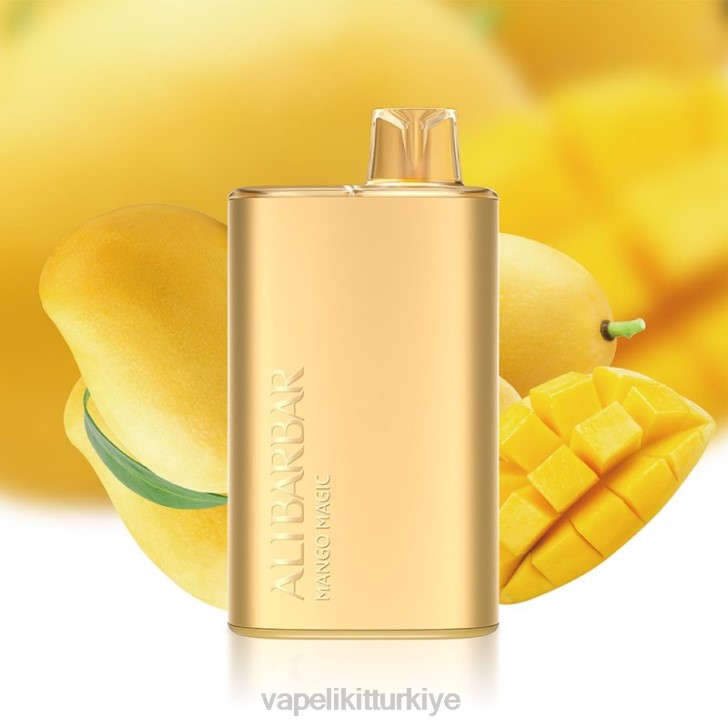Vape Elektronik Sigara - Alibarbar Rich 8000 tek kullanımlık vape mango büyüsü PRP27