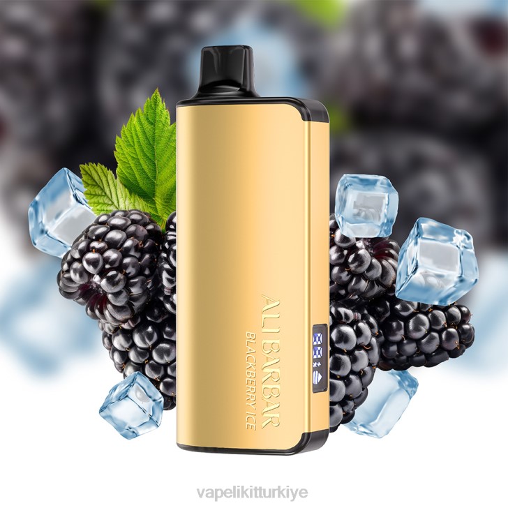 Vape Mate - Alibarbar Ingot 9000 tek kullanımlık elektronik sigara böğürtlen buzu PRP230