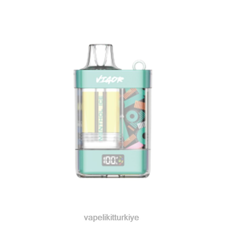 Vape Elektronik Sigara - LAVIE VIGOR 15000 nefes mentollü buz R44802