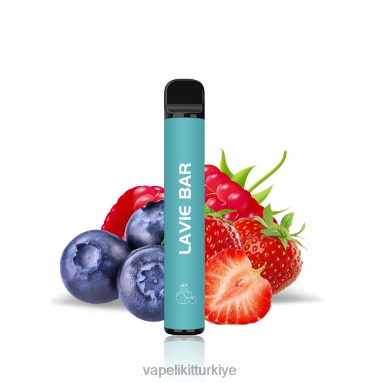 Vape Likit - LAVIE BAR %2 versiyon 800 puf meyveyi karıştır R4480323