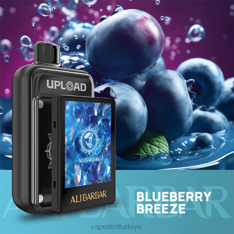 Vape Mate - Alibarbar yüklemek yaban mersini esintisi BR08113