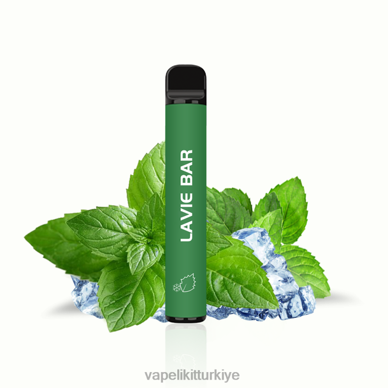Vape Mate - LAVIE BAR %2 versiyon 800 puf serin nane R4480320