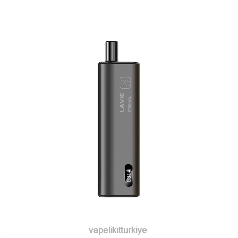 Vape Mate - LAVIE ETERNAL 10000 nefes çift ​​elma R4480120