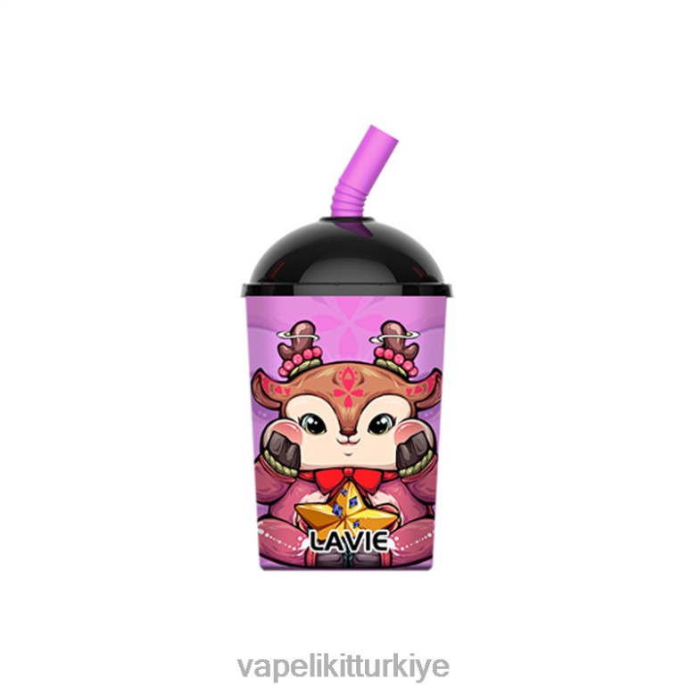 Vape Mate - LAVIE Max Cup 8000 nefes üzüm buzu R4480260