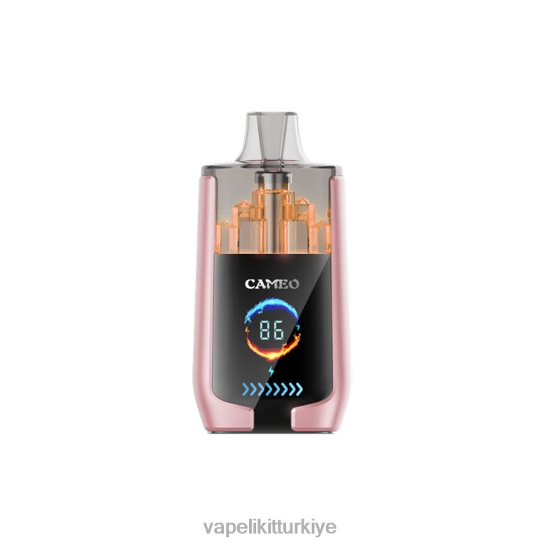 Vape Pen - LAVIE CAMEO 30000 nefes tropikal meyve R448019