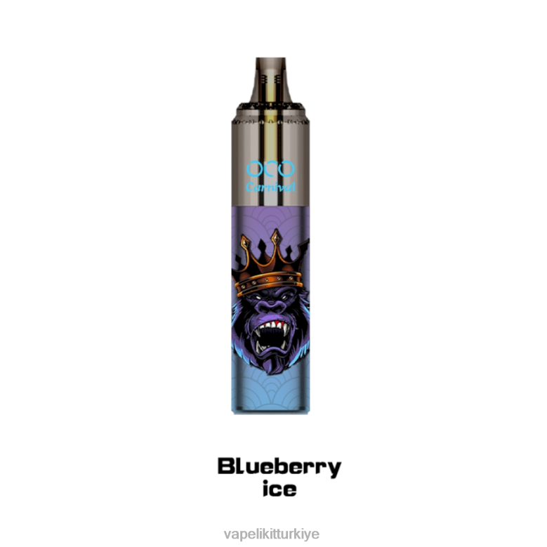 Vape Pen - LAVIE OCO karnaval 10000 puf yaban mersinli buz R4480349