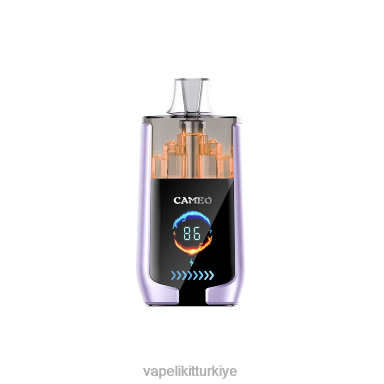 Vape Türkiye - LAVIE CAMEO 30000 nefes üzüm buzu R448016