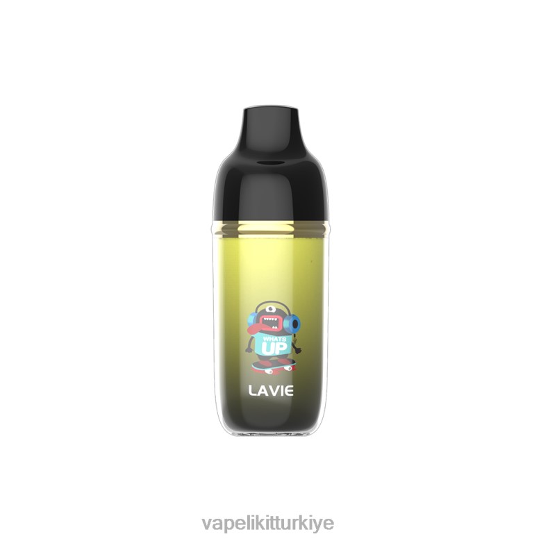 Vape Türkiye - LAVIE Monster 6000 nefes mango buzu R4480241