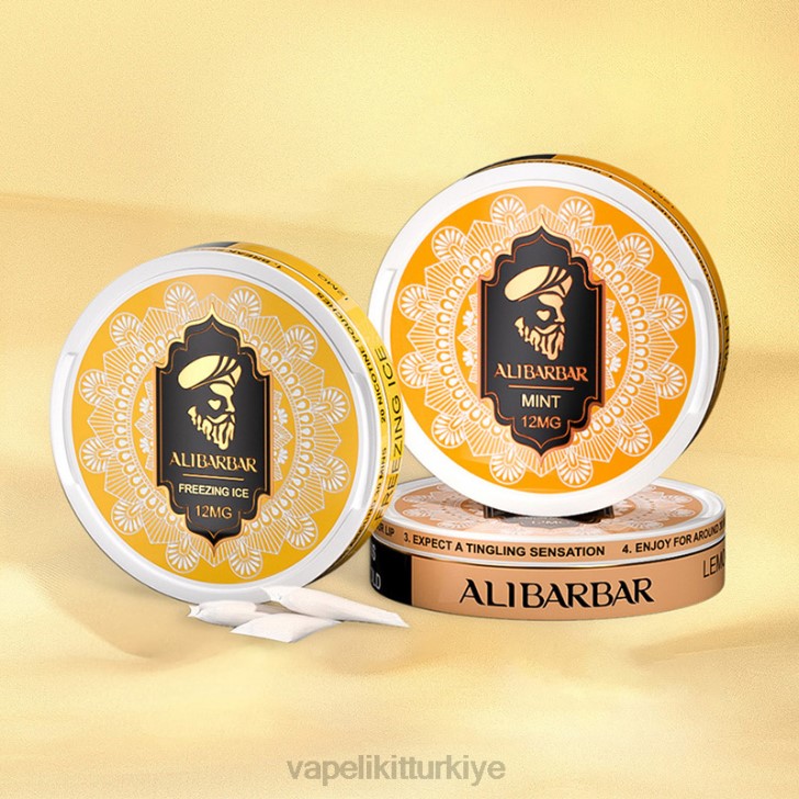 Vape Mate - Alibarbar nikotin torbalar yaban mersini ekşi ahududu PRP280