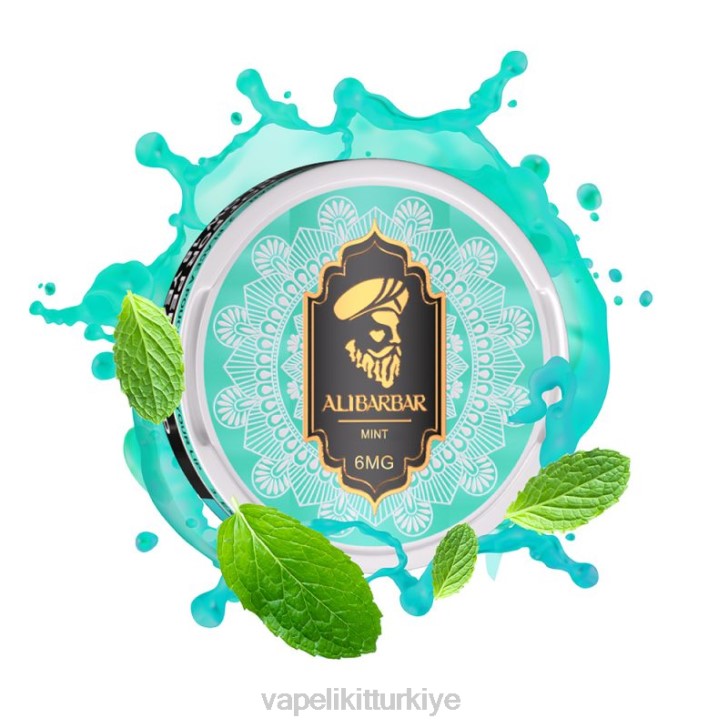 Vape Pen - Alibarbar nikotin torbalar nane PRP289